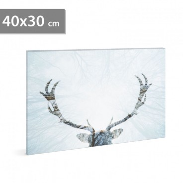 Tablou cu LED – Lumina polară. 30 x 40 cm