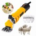 Masina electrica de tuns oi, 6 trepte de viteza 750 W + Cutit de rezerva CADOU